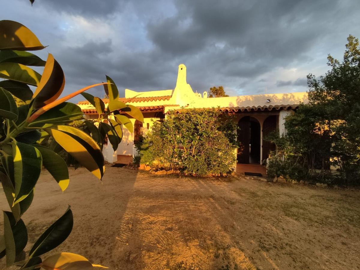 Chia Aloe & Cactus Villa Bagian luar foto