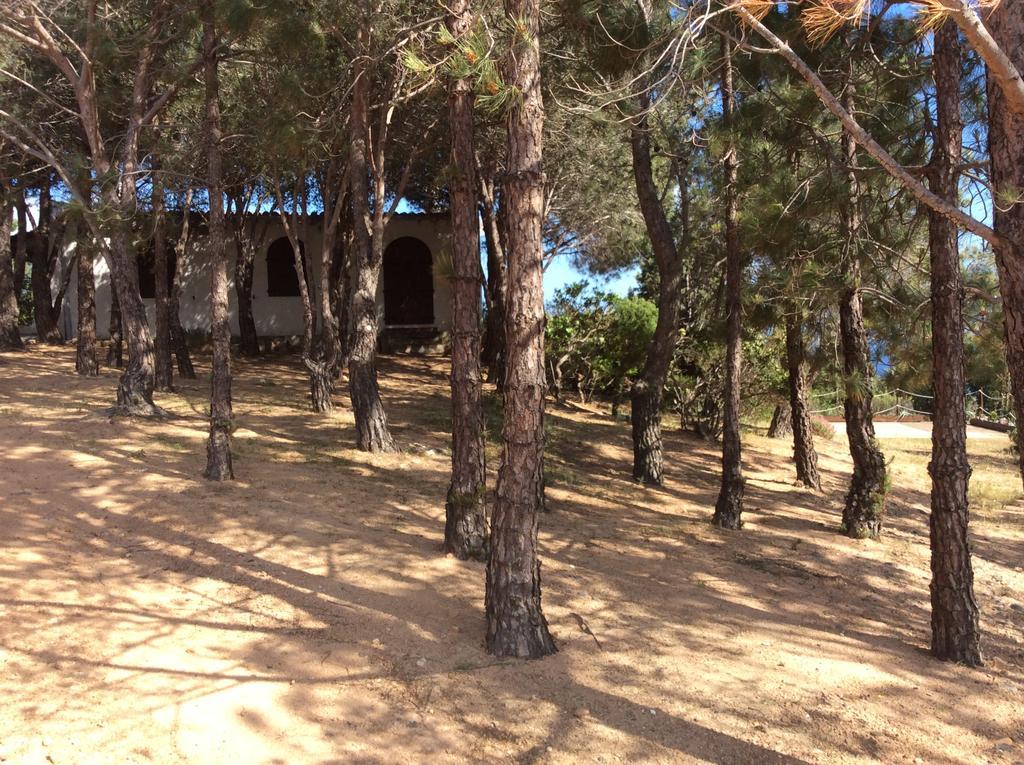 Chia Aloe & Cactus Villa Bagian luar foto